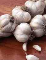 photo of garlic, ripped